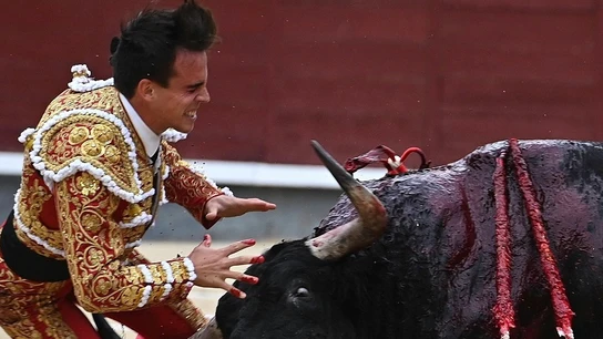 Imagen del momento de la cogida al torero Gonzalo Caballero Imagen del momento de la cogida al torero Gonzalo Caballero