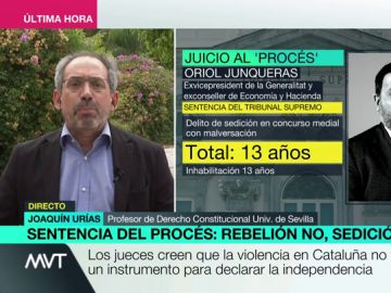 Joaquín Urías: "La sentencia no castiga ideas, castiga desproporcionadamente algo que es un delito" Joaquín Urías: "La sentencia no castiga ideas, castiga desproporcionadamente algo que es un delito"
