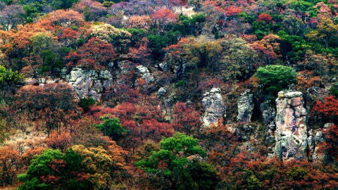 Sierra Fría en Aguascalientes, México