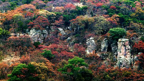 Sierra Fría en Aguascalientes, México Sierra Fría en Aguascalientes, México