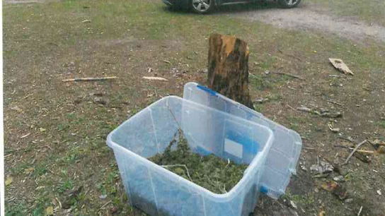La Policía de Getafe encuentra 6 kilos de marihuana La Policía de Getafe encuentra 6 kilos de marihuana