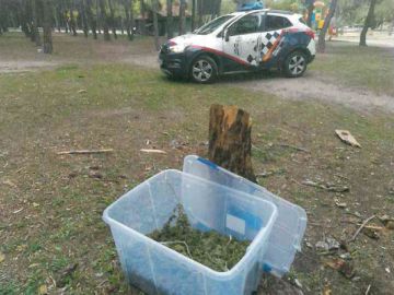 La Policía de Getafe encuentra 6 kilos de marihuana La Policía de Getafe encuentra 6 kilos de marihuana