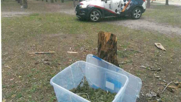 La Policía de Getafe encuentra 6 kilos de marihuana