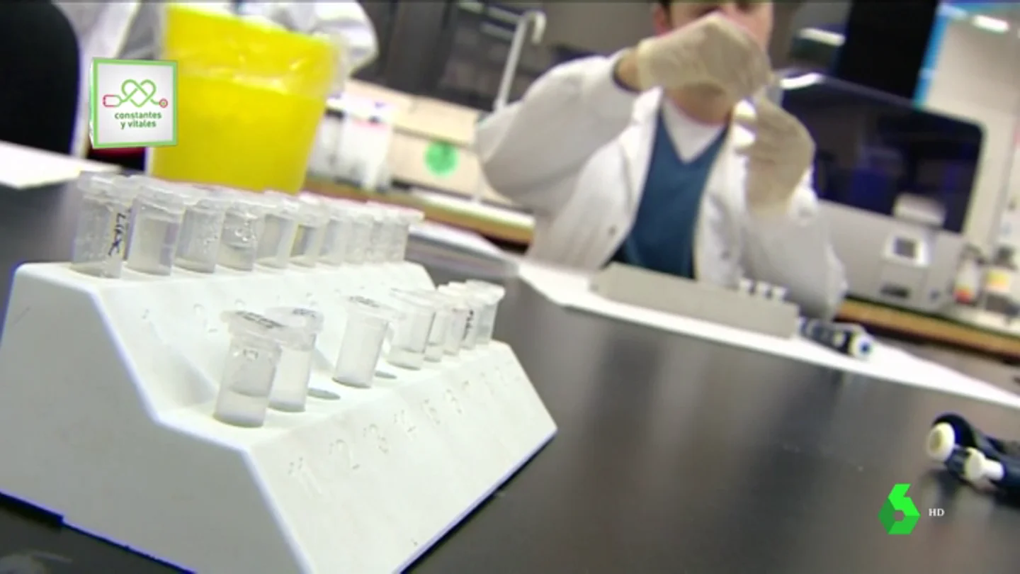 Científicos españoles hallan una nueva vía molecular que podría alargar la vida de los pacientes de ELA Científicos españoles hallan una nueva vía molecular que podría alargar la vida de los pacientes de ELA