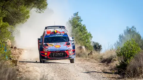 Thierry Neuville espera resultados favorables Thierry Neuville espera resultados favorables