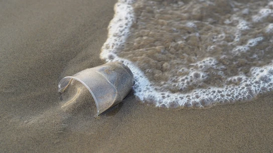 Vaso de plástico en el mar Vaso de plástico en el mar
