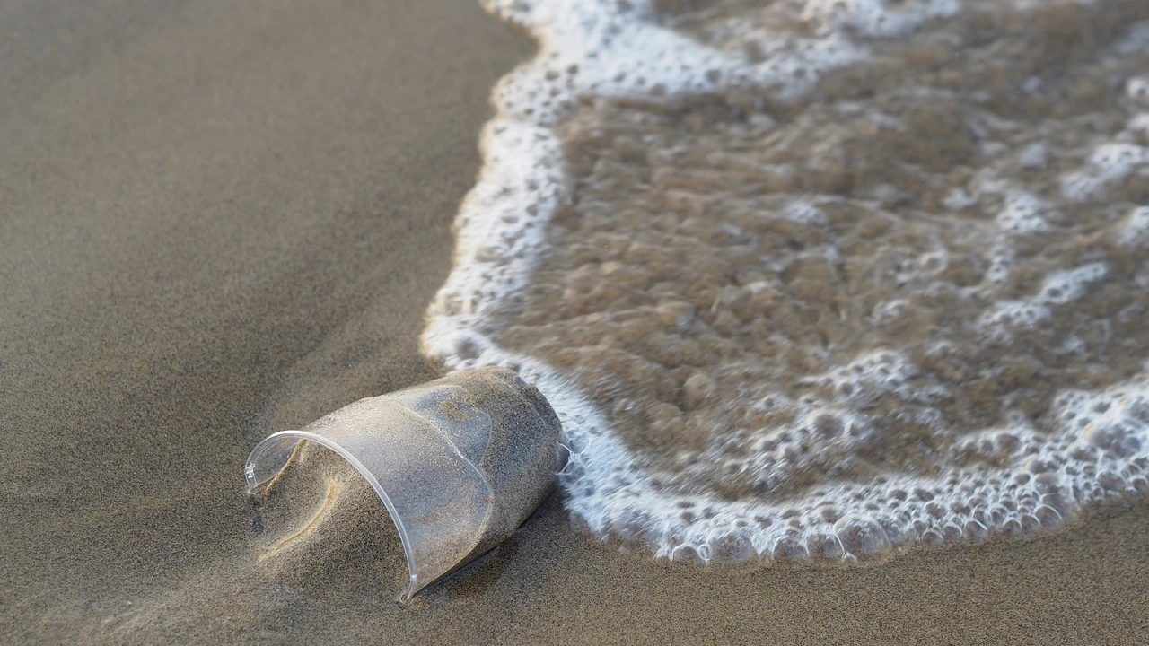 Vaso de plástico en el mar