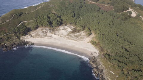 Playa de Melide