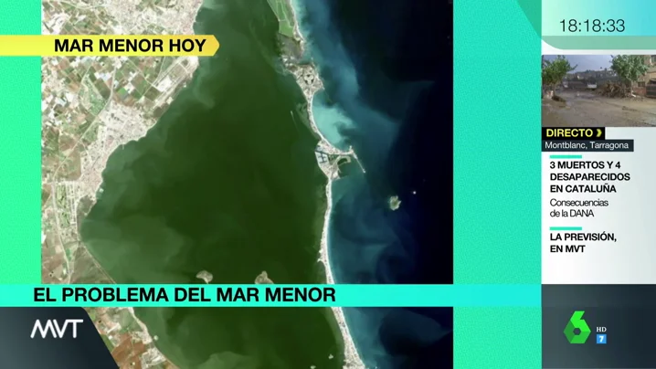 Grito de socorro desde el Mar Menor: ¿cómo ha llegado a una situación crítica para la vida marina?