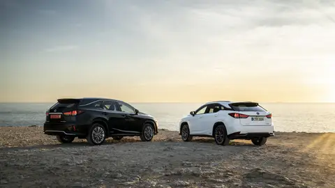 Lexus RX 450h 2020 Lexus RX 450h 2020