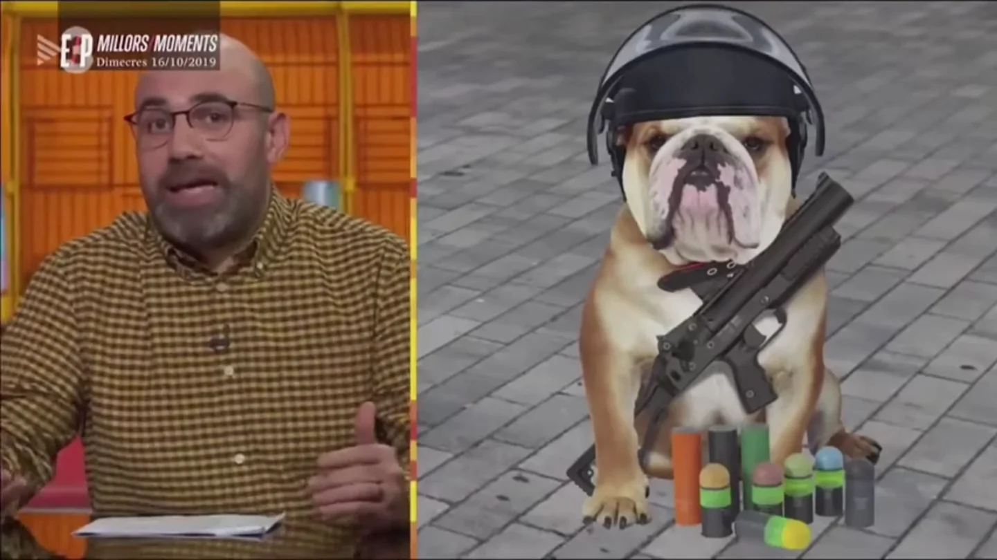 La Fiscalía investiga un programa de TV3 que se refirió a los Mossos como "putos perros" La Fiscalía investiga un programa de TV3 que se refirió a los Mossos como "putos perros"