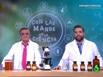 Dónde nació el homo sapiens o la habilidad oculta de las hormigas: las noticias científicas más curiosas Dónde nació el homo sapiens o la habilidad oculta de las hormigas: las noticias científicas más curiosas