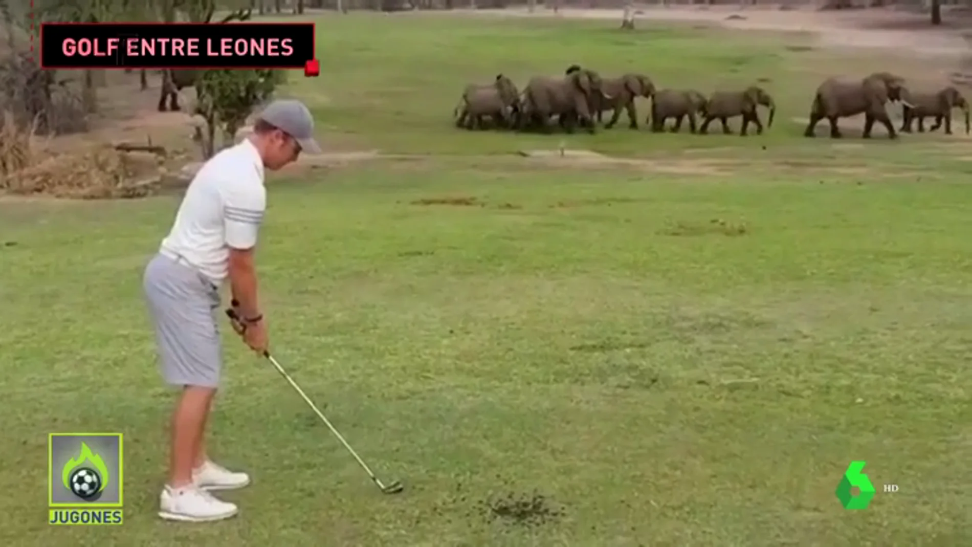 Así es el club de golf más salvaje del planeta: leones, hienas...