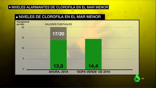 Los expertos alertan: los niveles de clorofila en el Mar Menor ya superan a los de la 'Sopa Verde' de 2016 Los expertos alertan: los niveles de clorofila en el Mar Menor ya superan a los de la 'Sopa Verde' de 2016