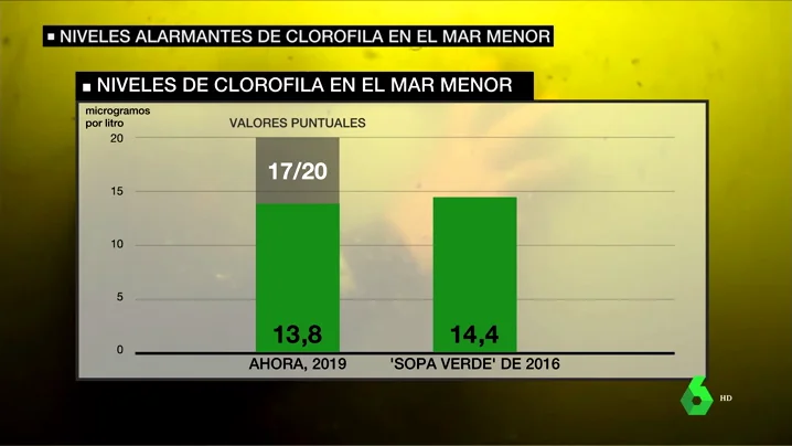 Los expertos alertan: los niveles de clorofila en el Mar Menor ya superan a los de la 'Sopa Verde' de 2016 Los expertos alertan: los niveles de clorofila en el Mar Menor ya superan a los de la 'Sopa Verde' de 2016