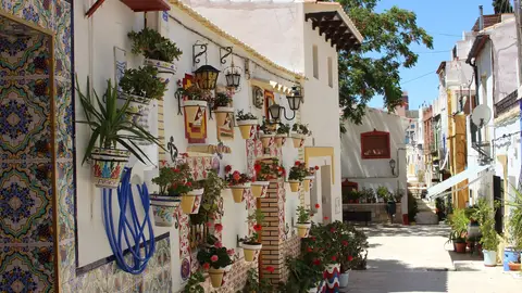 Alicante Alicante