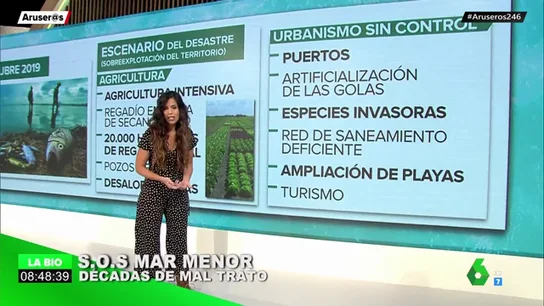 El Mar menor agoniza: radiografía de los factores que han intervenido en esta catástrofe natural El Mar menor agoniza: radiografía de los factores que han intervenido en esta catástrofe natural