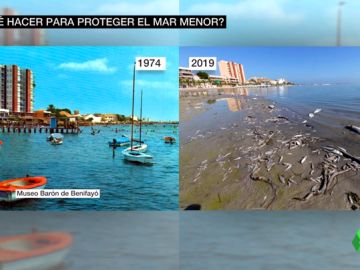 ¿Se puede salvar al Mar Menor? Estos son los pasos a seguir ¿Se puede salvar al Mar Menor? Estos son los pasos a seguir