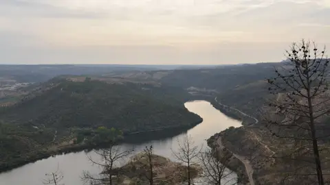 Portugal Portugal