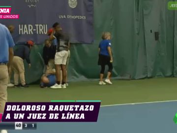 deportes tenistas deportes tenistas