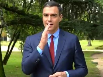 Pedro Sánchez pide el voto en lenguaje de signos Pedro Sánchez pide el voto en lenguaje de signos