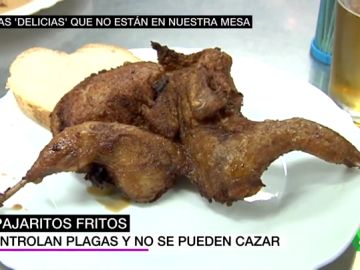 Parajitos fritos Parajitos fritos