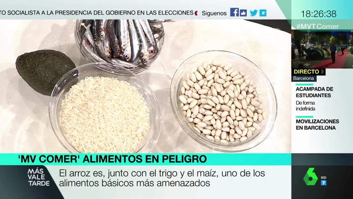 El cambio climático también amenaza nuestra cesta de la compra: estos son los alimentos que podrían desaparecer