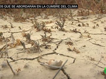 Imagen de un paisaje seco por el cambio climático Imagen de un paisaje seco por el cambio climático