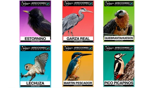 Candidatos a las segundas 'Avecciones generales' Candidatos a las segundas 'Avecciones generales'