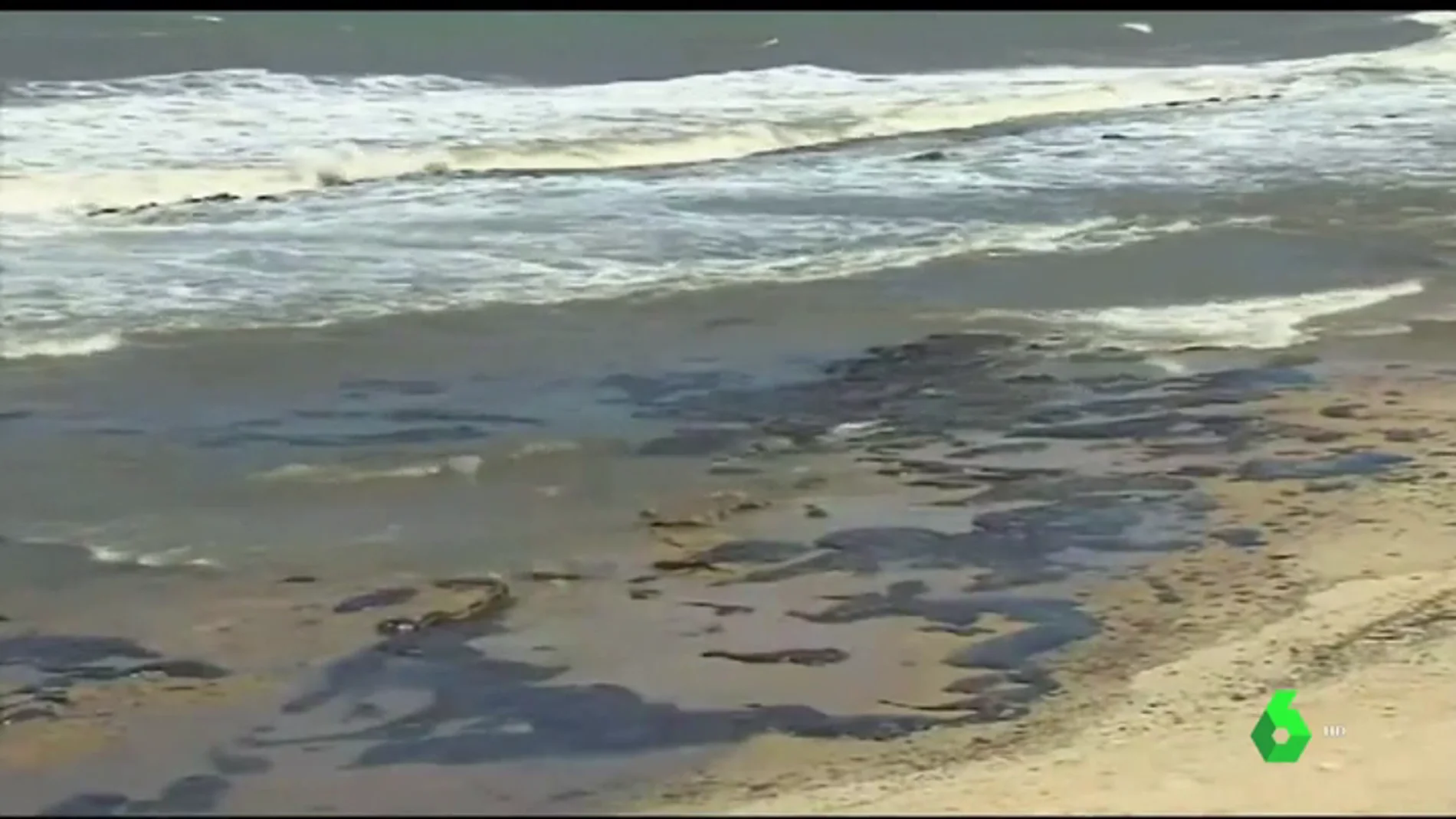 Recogen más de 4.000 toneladas de petróleo en las costas brasileñas 