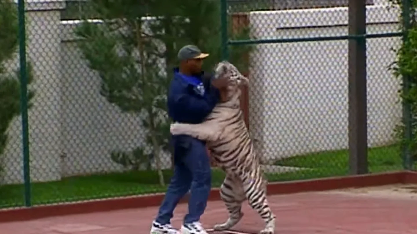 Mike Tyson y su tigre Kenia Mike Tyson y su tigre Kenia