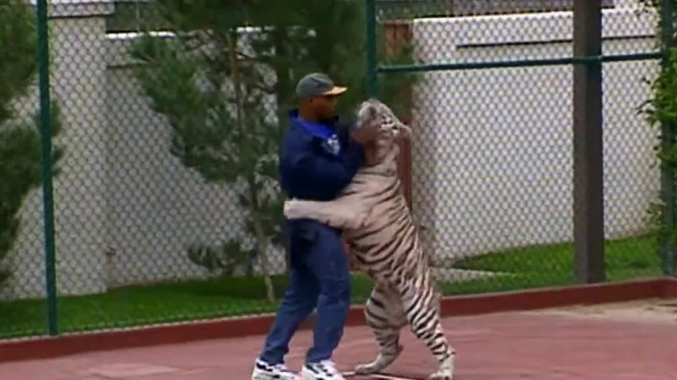 Mike Tyson y su tigre Kenia