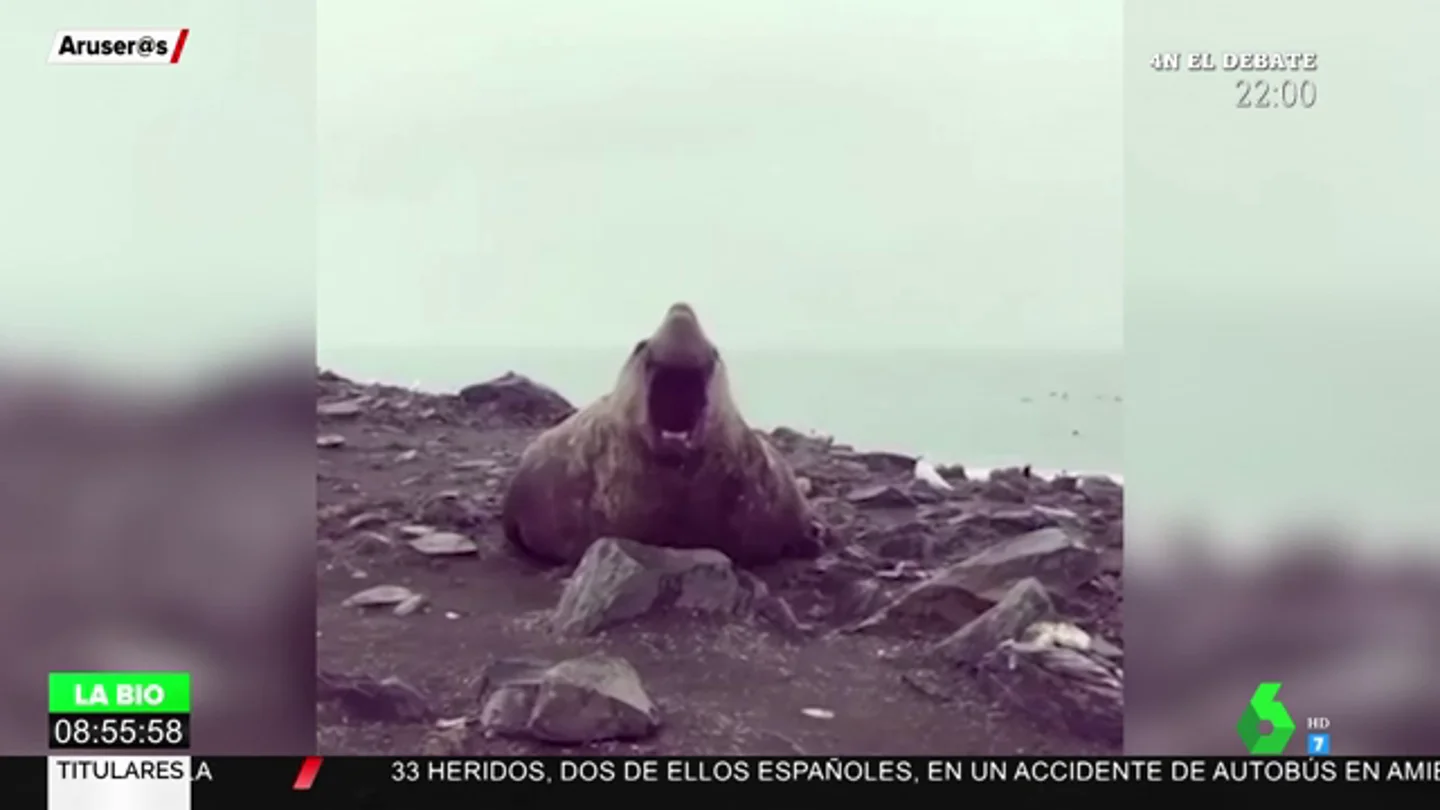 eructo eructo