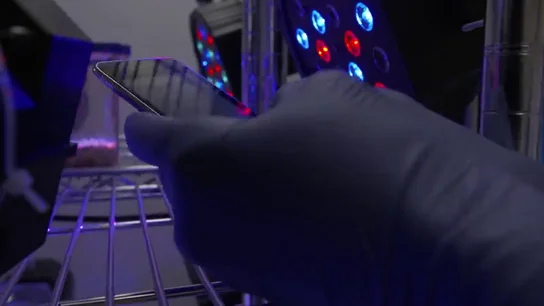 Así reacciona el cerebro de un niño expuesto de forma excesiva a la tecnología Así reacciona el cerebro de un niño expuesto de forma excesiva a la tecnología