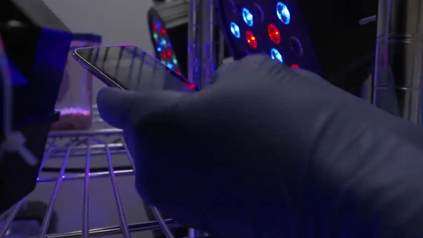 Así reacciona el cerebro de un niño expuesto de forma excesiva a la tecnología Así reacciona el cerebro de un niño expuesto de forma excesiva a la tecnología