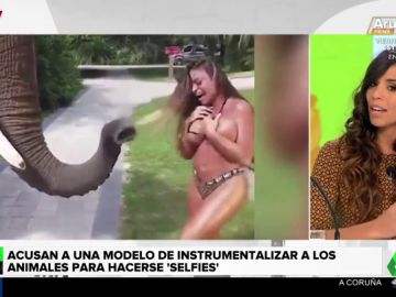 Critican a una modelo de playboy por utilizar animales para ganar seguidores en redes sociales Critican a una modelo de playboy por utilizar animales para ganar seguidores en redes sociales