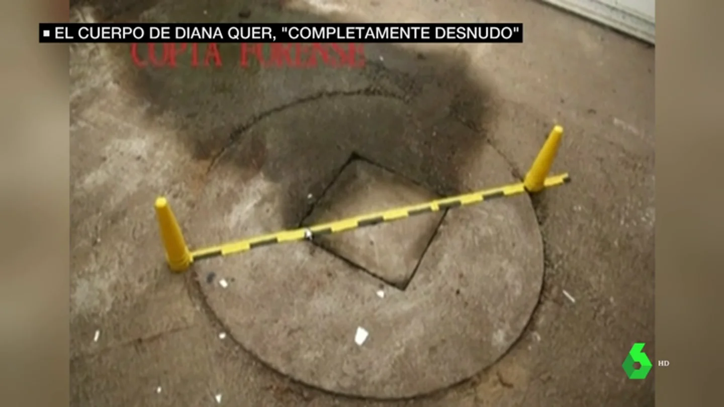 DIANA QUER NUEVA DIANA QUER NUEVA