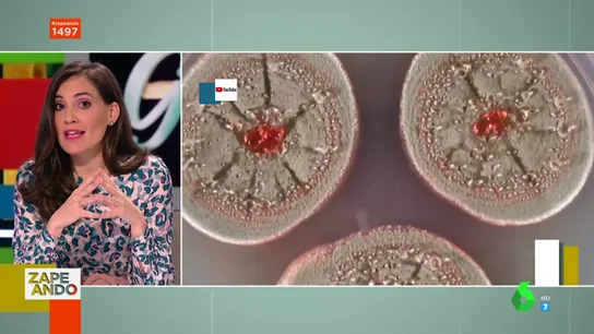 Boticaria García Boticaria García