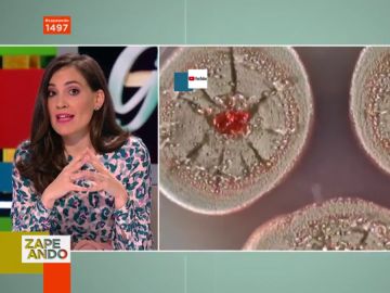Boticaria García Boticaria García