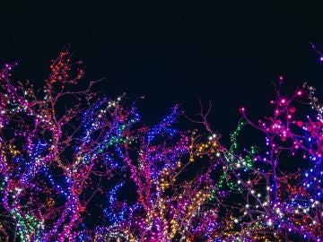 Encendido de luces de Navidad 2019