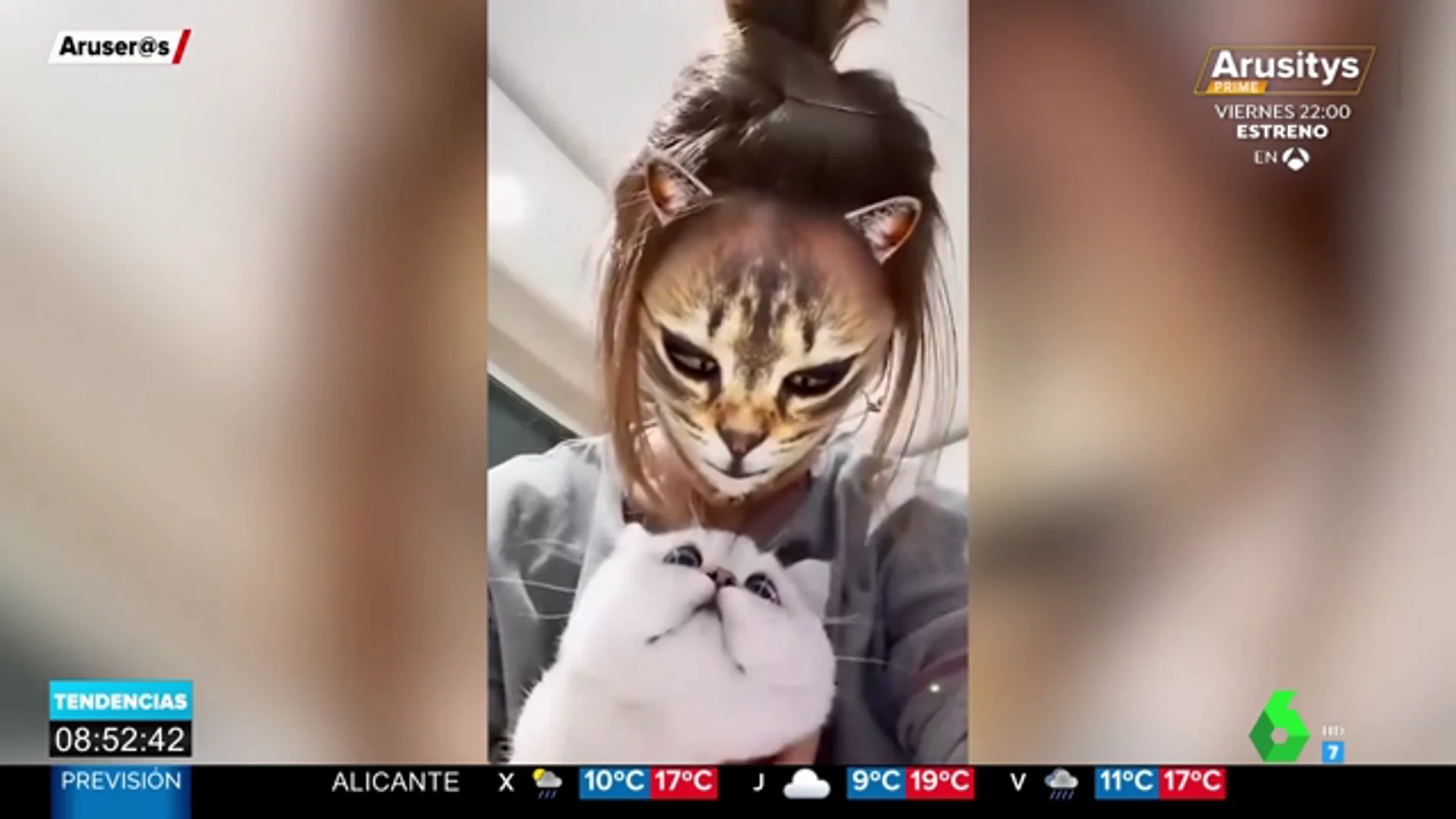 La reacción de varios gatos al ver sus dueños con un filtro de en Internet