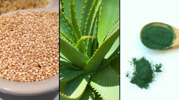Quinoa, aloe vera y espirulina