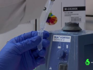 Un brote de triquinosis afecta a 13 personas tras consumir carne de jabalí sin control veterinario Un brote de triquinosis afecta a 13 personas tras consumir carne de jabalí sin control veterinario