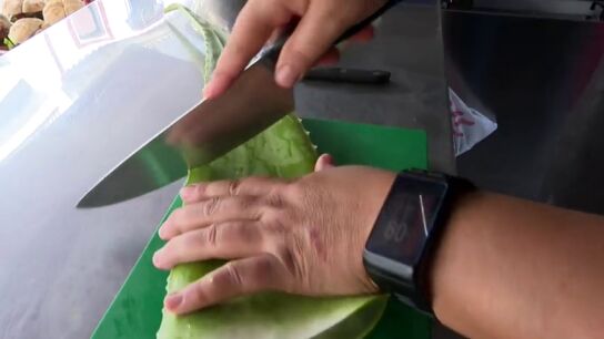  El aloe vera y su gran aporte de hierro y calcio