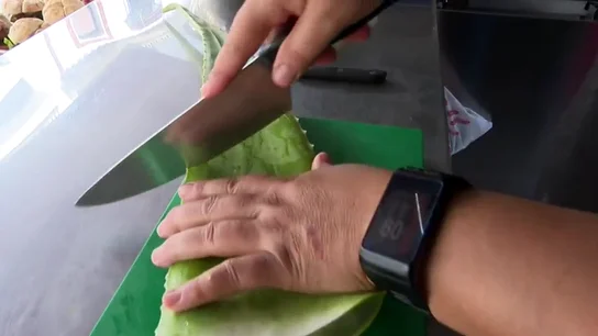 El aloe vera y su gran aporte de hierro y calcio El aloe vera y su gran aporte de hierro y calcio