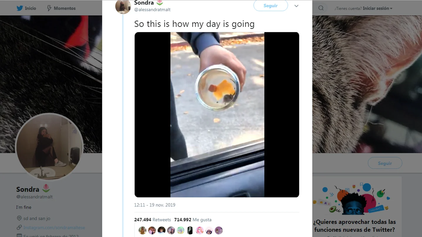 Vídeo viral del ratoncito diabólico Vídeo viral del ratoncito diabólico