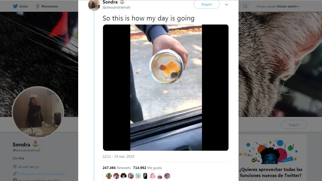Vídeo viral del ratoncito diabólico Vídeo viral del ratoncito diabólico