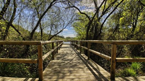Parque Nacional de Doñana, Huelva