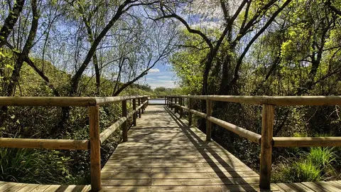 Parque Nacional de Doñana, Huelva Parque Nacional de Doñana, Huelva