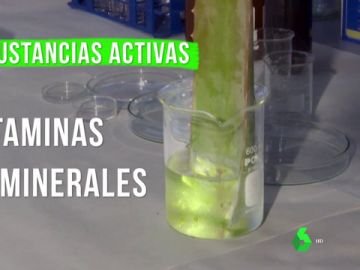 Los beneficios del aloe vera, un superalimento anticancerígeno y cargado de vitaminas Los beneficios del aloe vera, un superalimento anticancerígeno y cargado de vitaminas